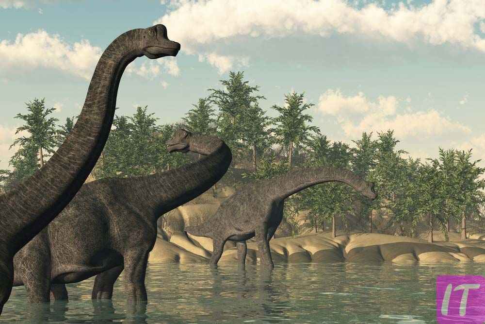 Did Dinosaurs Really Live In The World?