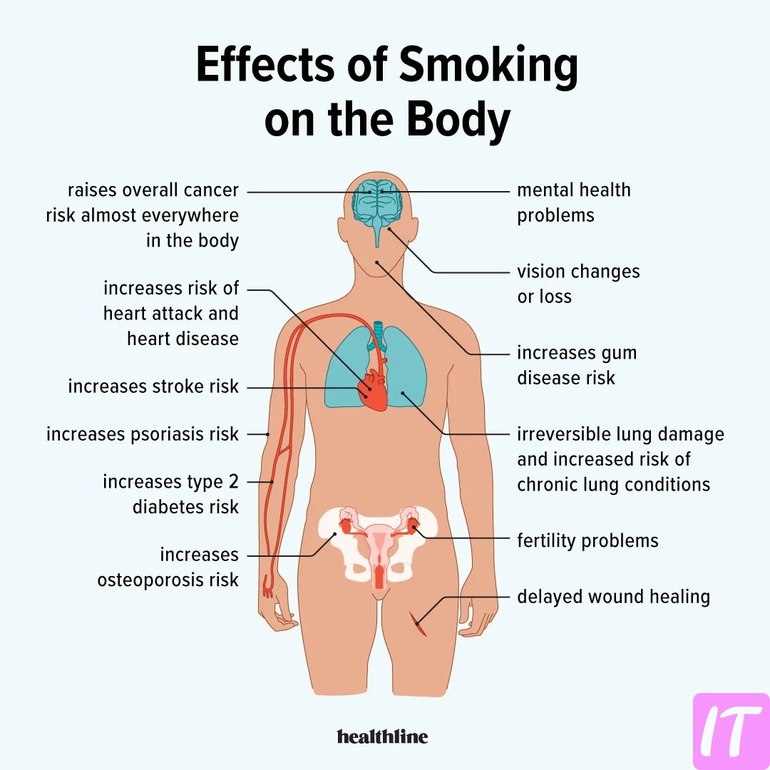 What Exactly Does Smoking Do To The Human Body? How Are Its Destructive Effects?