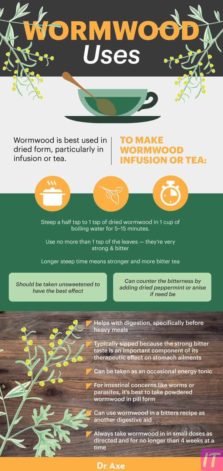 Why Are People Not Aware Of The Unique Properties Of Wormwood Tea + Honey To Destroy Cancer Cells Immediately?